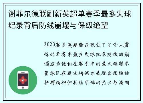 谢菲尔德联刷新英超单赛季最多失球纪录背后防线崩塌与保级绝望