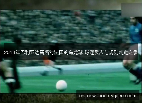 2014年巴利亚达雷斯对法国的乌龙球 球迷反应与规则判定之争